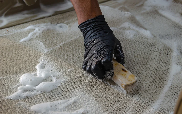 Rug Cleaning